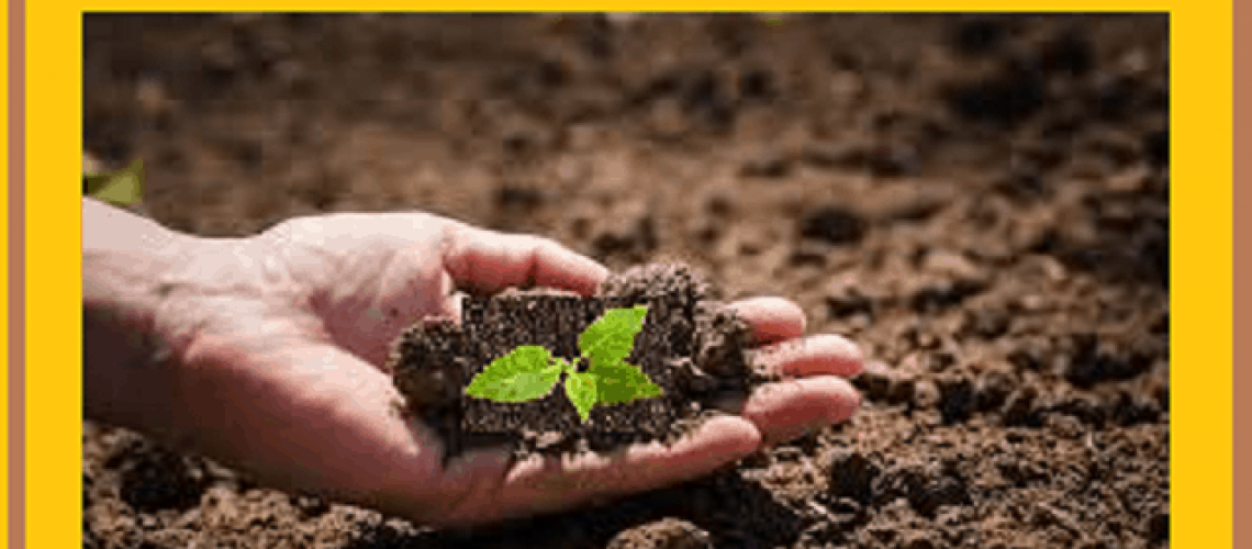 World-Soil-Day