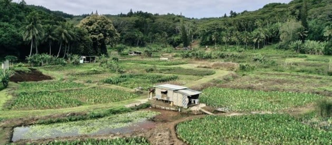 cookislandsfoodsecurity-629x389