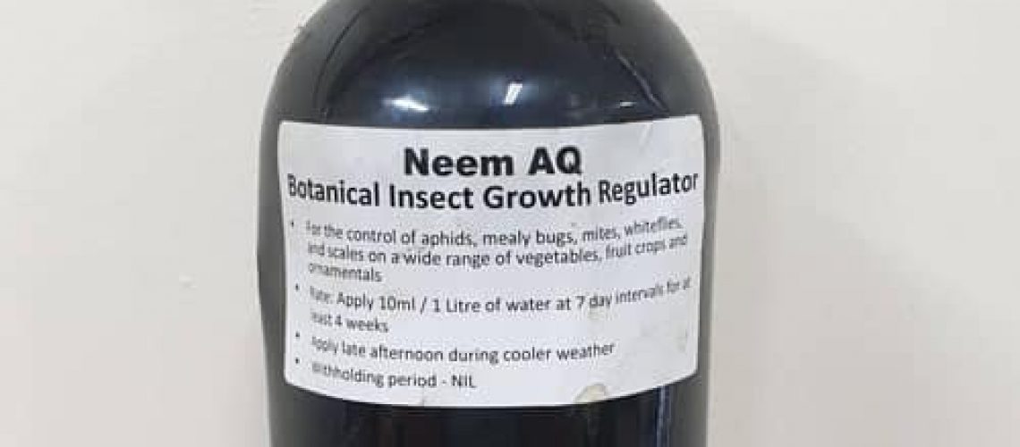 neem