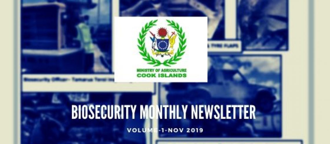 newsletter